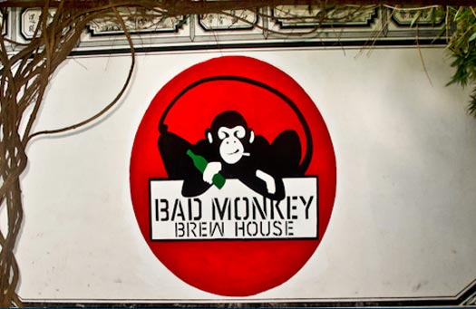 Bad-Monkey,-good-brew